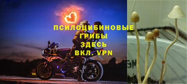 каннабис Абдулино