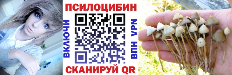 Псилоцибиновые грибы MAGIC MUSHROOMS  Тотьма 