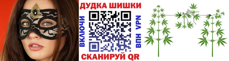 Бошки марихуана индика  магазин  наркотиков  Тотьма 